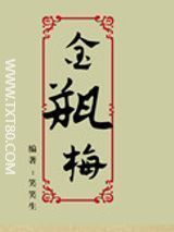 金瓶梅txt小说下载-金梅瓶txt全集下载